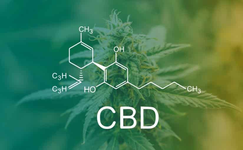 California Leans Toward Protecting More Medical Cannabis Users