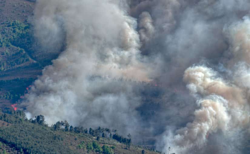CAL/OSHA’s Plan For Wildfire Air Quality Protection
